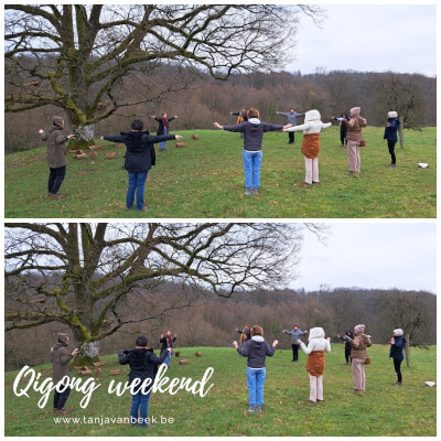 Qigong weekend in de Ardennen